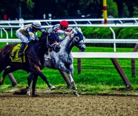 Nervous thrilling horse racing Stock Photo 02