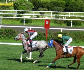 Nervous thrilling horse racing Stock Photo 04