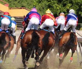 Nervous thrilling horse racing Stock Photo 05