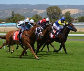 Nervous thrilling horse racing Stock Photo 06