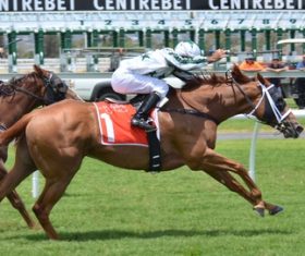Nervous thrilling horse racing Stock Photo 07
