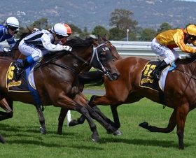 Nervous thrilling horse racing Stock Photo 08