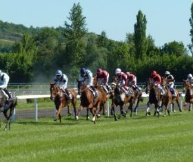 Nervous thrilling horse racing Stock Photo 09