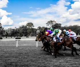 Nervous thrilling horse racing Stock Photo 10