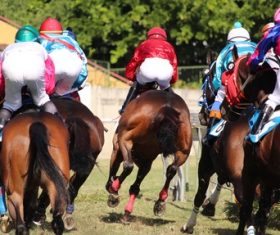Nervous thrilling horse racing Stock Photo 11