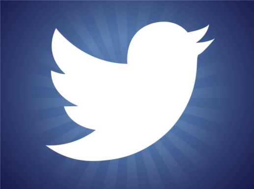 New Twitter Bird Logo vector