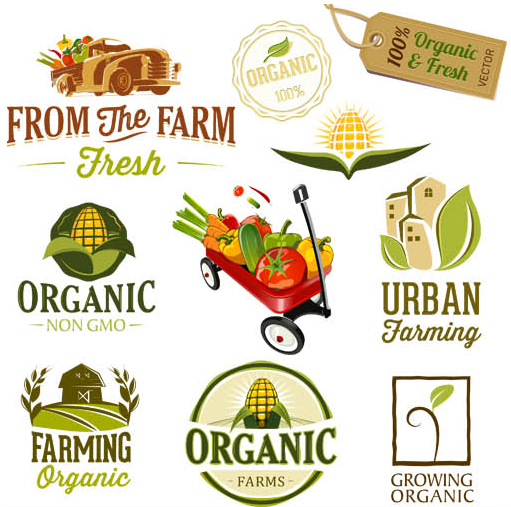 Organic Food Labels vector