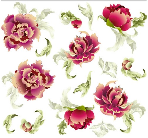 Ornate Flowers vector material