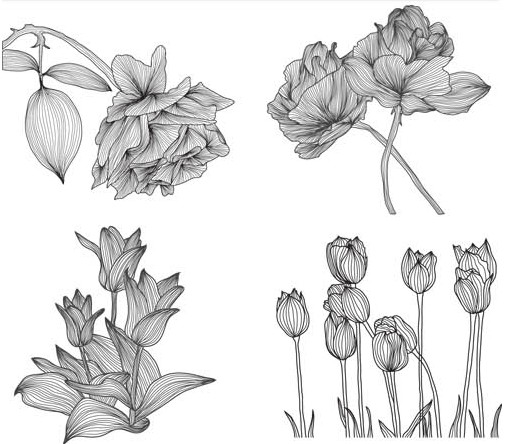 Ornate Flowers graphic vector design