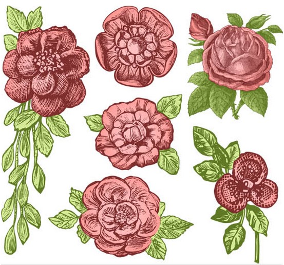 Ornate Roses free vector