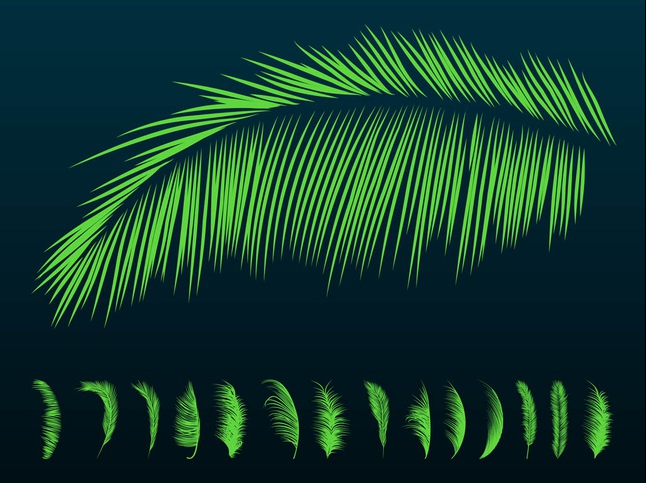 Palm Leaves Silhouettes vector design