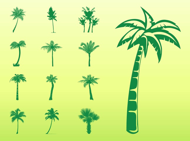Palm Trees Silhouettes Set vector
