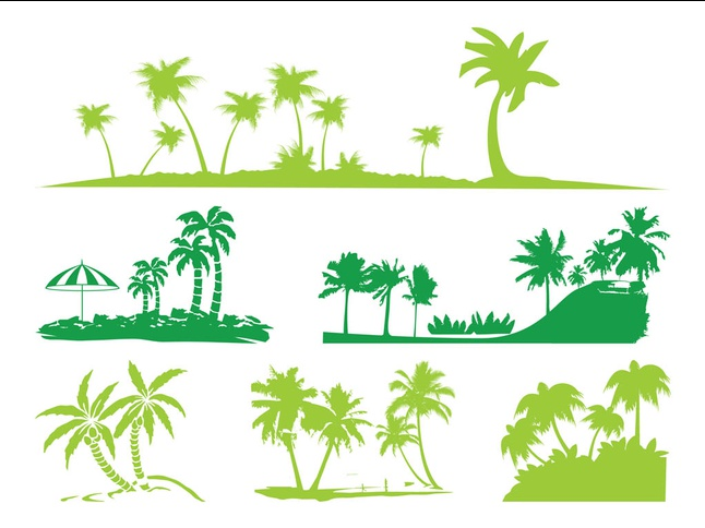 Palms Silhouettes graphic set vector