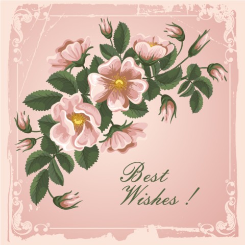Pink flowers and cards vectors graphics