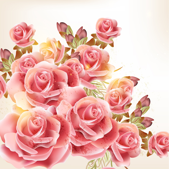 Pink rose background vector graphics