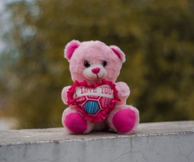 Pink teddy bear toy Stock Photo