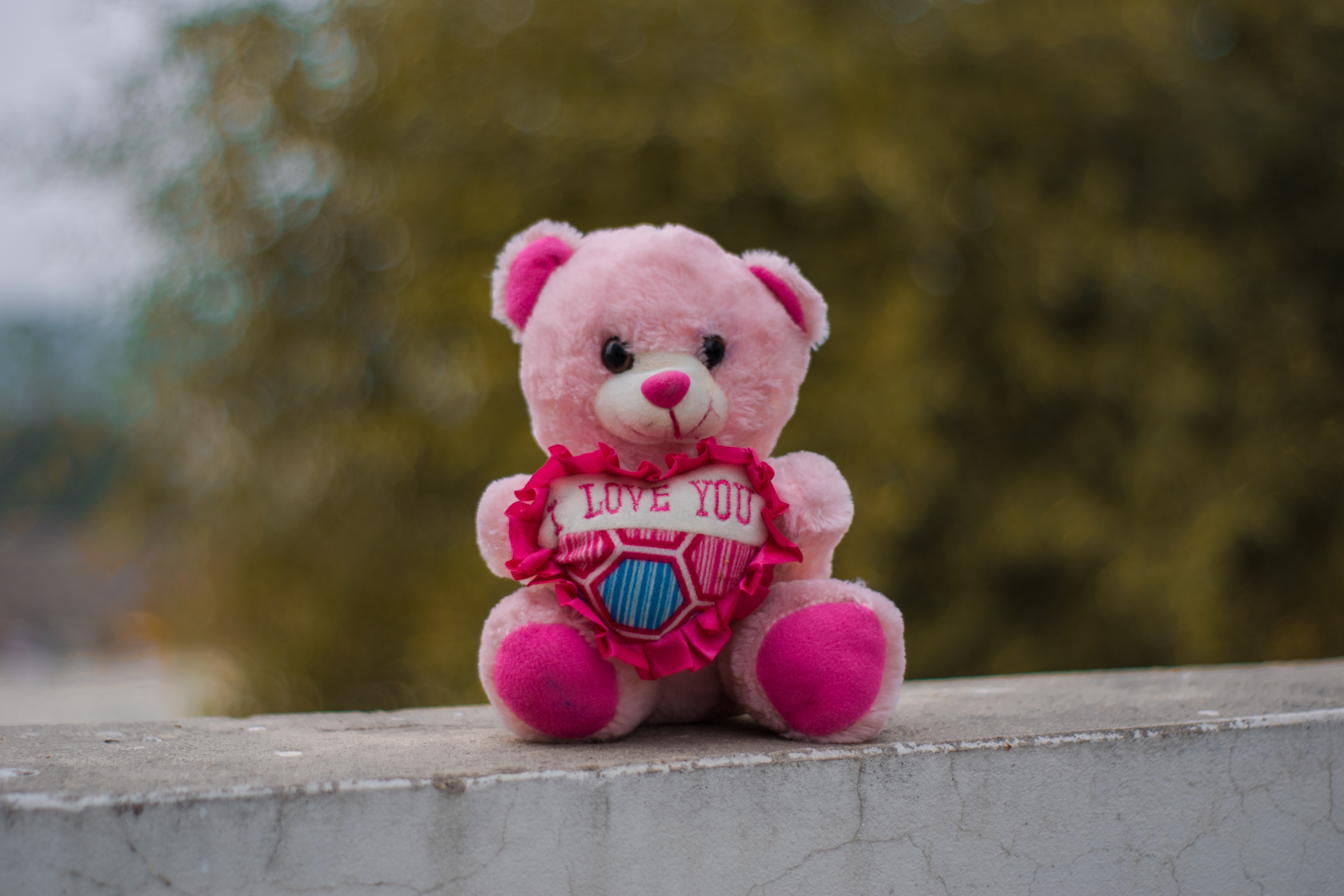 Pink teddy bear toy Stock Photo