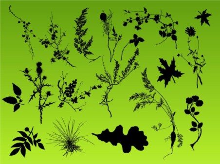 Plant Pack vector