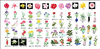 Plant flowers element vector