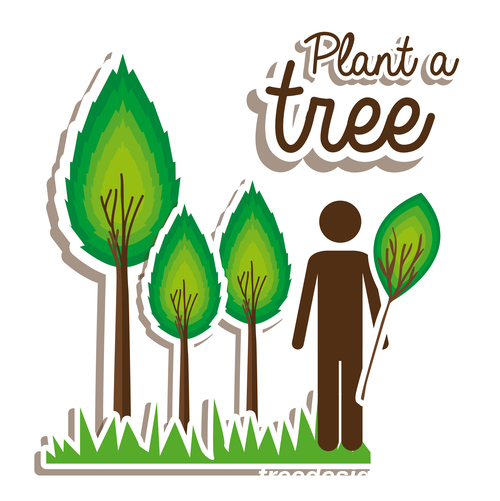 Plant tree sticker vectors
