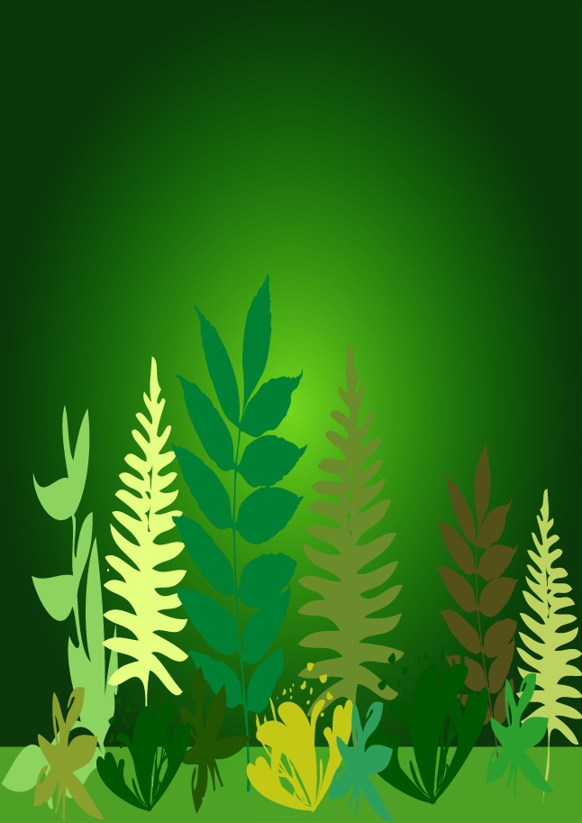 Plant with green background shiny vector