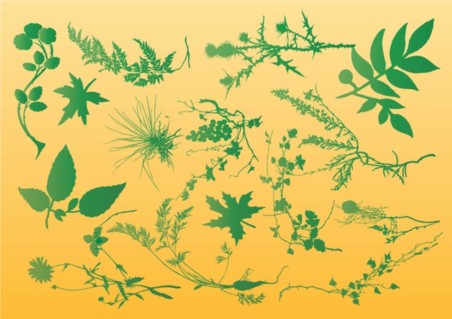 Plants Graphics vector