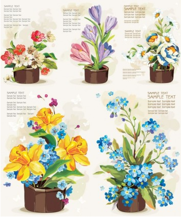 Pots flowers vector