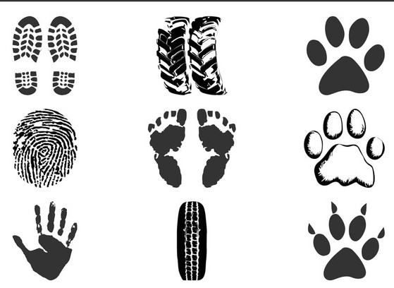 Prints And Traces vector graphic
