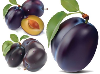 Purple berries design vector