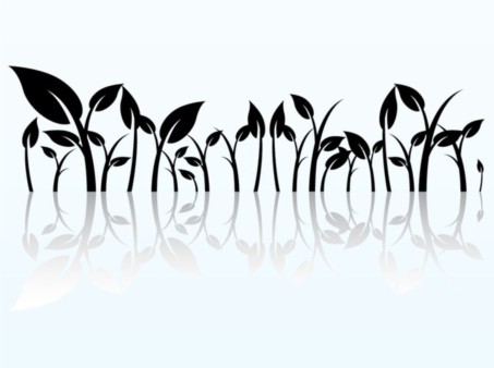 Reflected Plant Graphics vector
