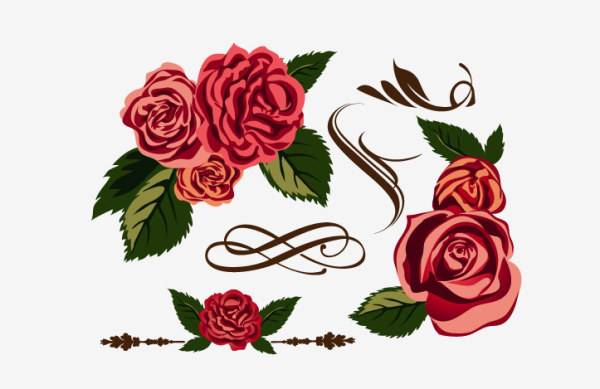 Rose with adornment vector