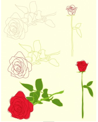 Roses Illustrations vector