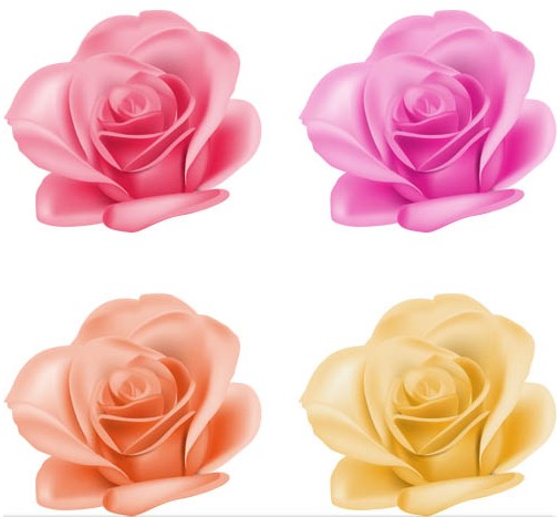 Roses graphic vector