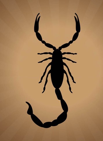 Scorpion Silhouette Graphics art vector