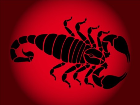 Scorpion Silhouette set vector