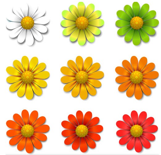 Shiny Color Flowers vector