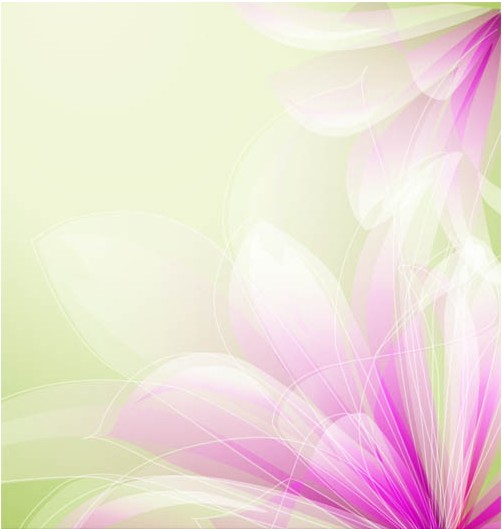 Shiny Floral Backgrounds 17 set vector
