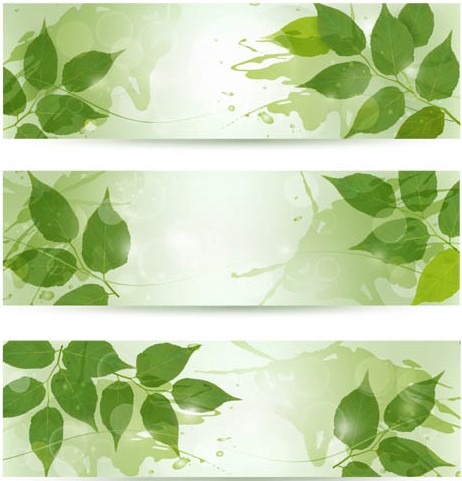 Shiny Leaves Banners vector