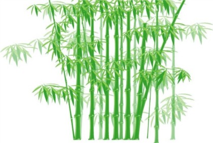 Shiny green bamboo vector