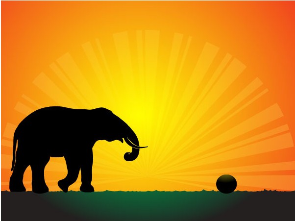 Silhouette Elephant in Sunset Wallpaper vector