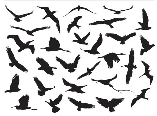 Silhouettes Birds vectors material