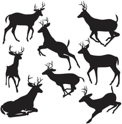 Silhouettes deer design vectors