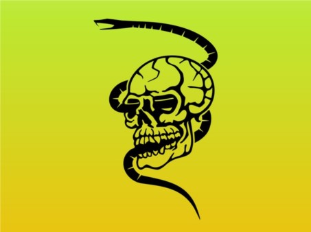 Skull and Snake Graphics vectors graphic