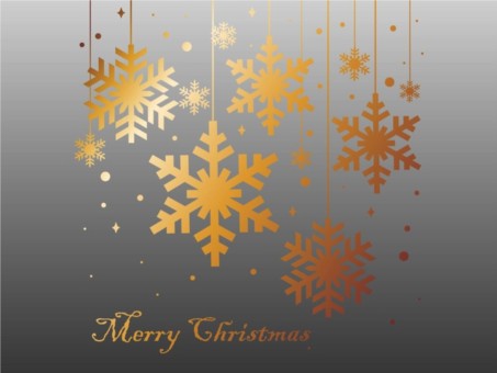 Snowflakes Christmas Card vector