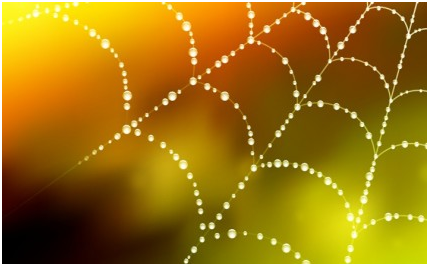 Spider Web Background Free vector graphics