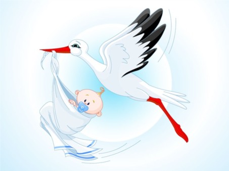 Stork Baby Cartoon vector material