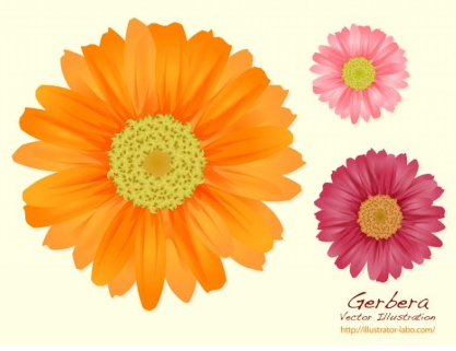 Summer Flowers graphic vector