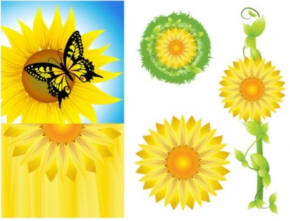 Sunflower Free vectors