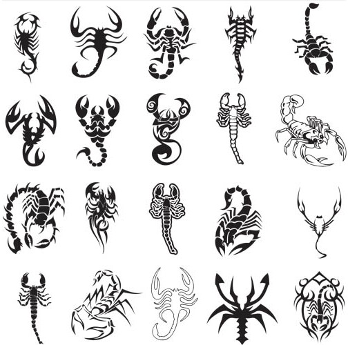 Tattoos Scorpions vector