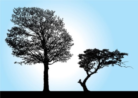 Tree Silhouette vectors graphic